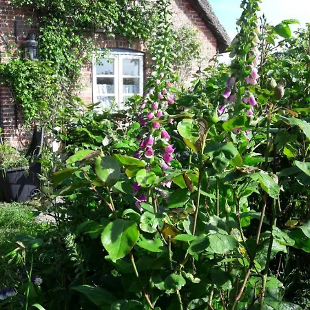 Fewo Meeresbrise * Emmelsbull-Horsbull